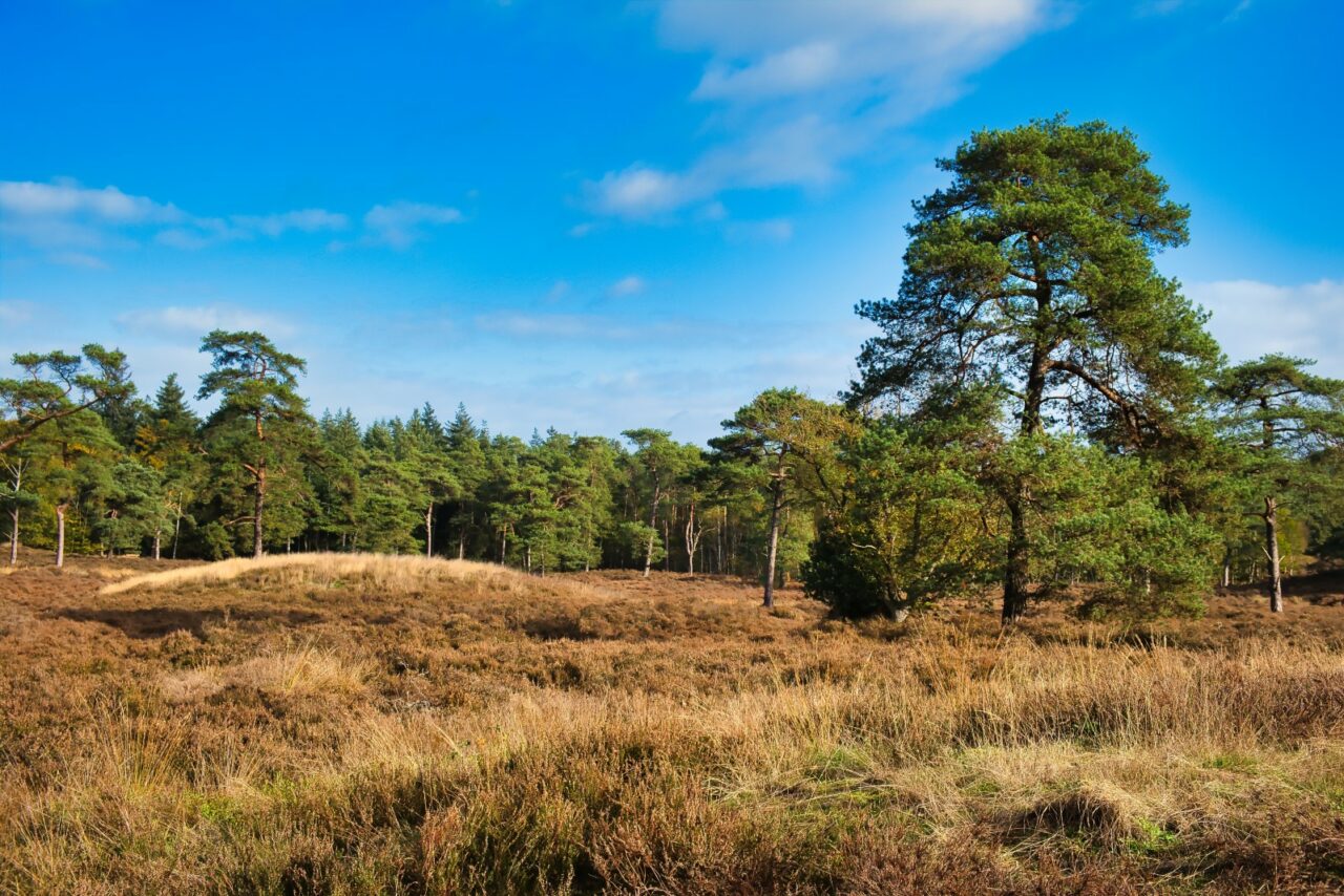 De 5 mooiste natuurgebieden in het Noorden - Maak Het